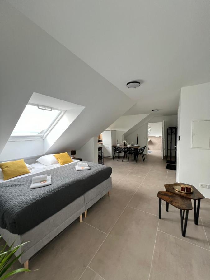 Bnb Open Apartments Pader-Stars Paderborn Bagian luar foto
